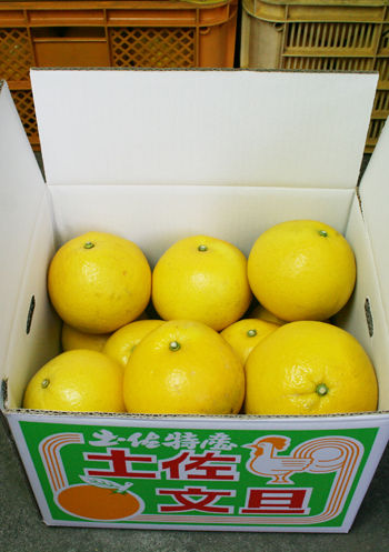 2012-0124-buntanhako