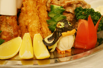 2011-0118-pengin