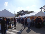 DSC00565