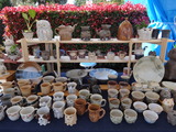DSC00558