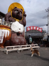 DSC02408