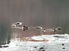 0eb76c45.jpg