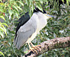 2c805058.jpg