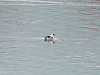 4f8513b4.jpg