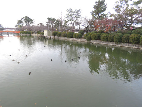 IMG_8369c