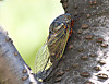 6e6b7002.jpg