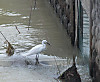 722c09f6.jpg