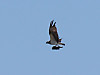 902b4b96.jpg