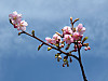 aa531b34.jpg