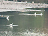 dc112d5a.jpg