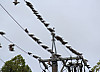 f5ad32c7.jpg