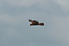 fca33907.jpg