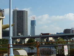 P1000003(42)