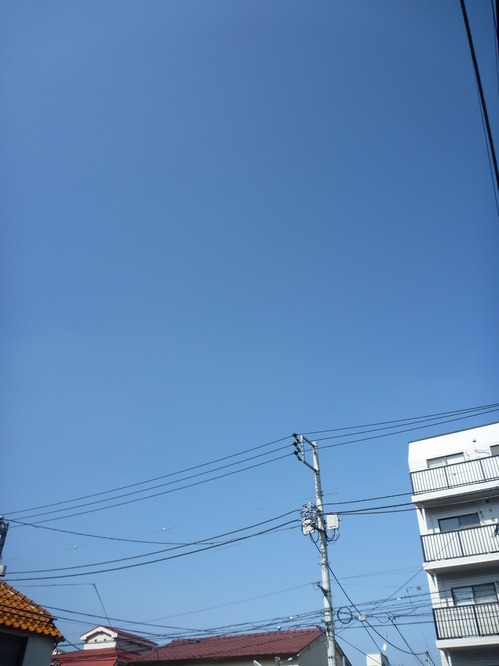 P1150387