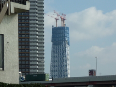 P1000001(39)