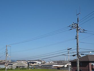 aozora
