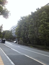 31c179cd.jpg