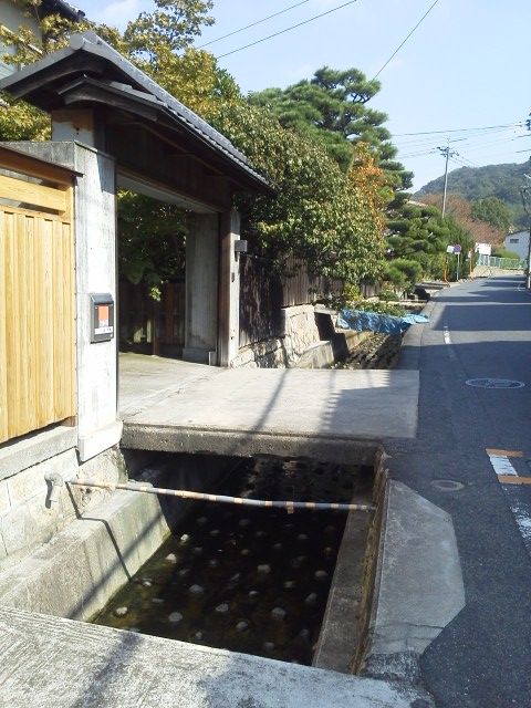 NEC_0341