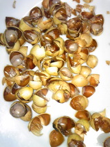 71ca0779.jpg