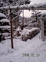 ad9eda81.jpg