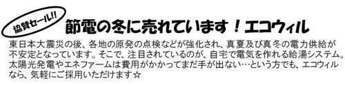 ecowill_30