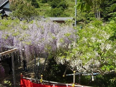 DSC01733