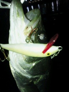 2011120501220000 (2)