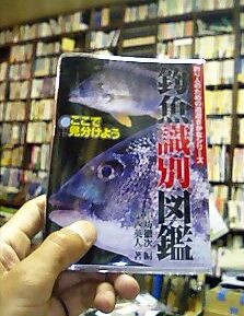 釣魚識別図鑑