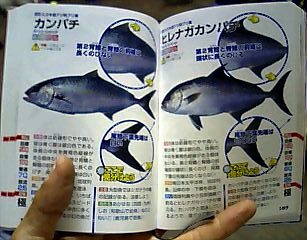釣魚識別図鑑の見やすいページ!