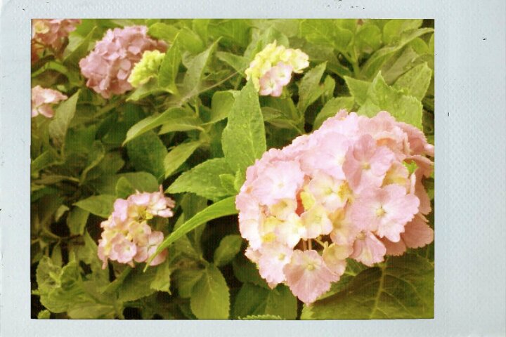 FxCam_1307570995694