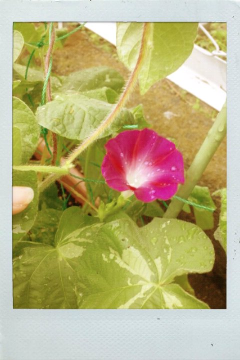 FxCam_1310597784580