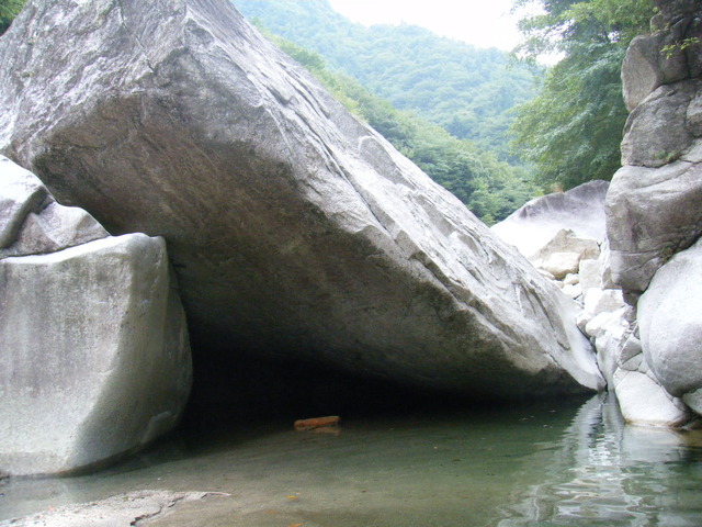 ��βϸ�20110804 006