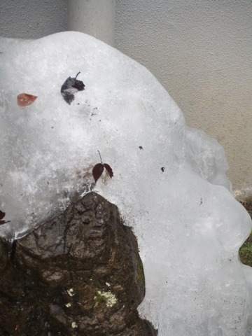 DSCF1129