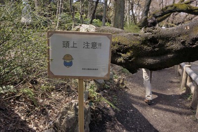 c2774f3a.jpg