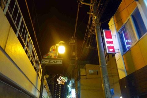 s-_DSC9393