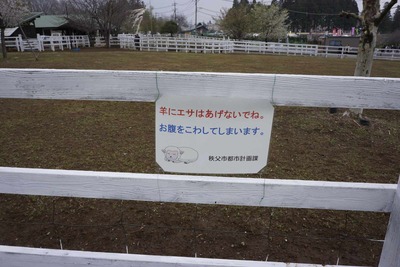 001221e4.jpg