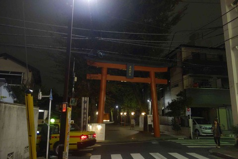 s-_DSC0237