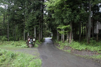 s-_MG_7975
