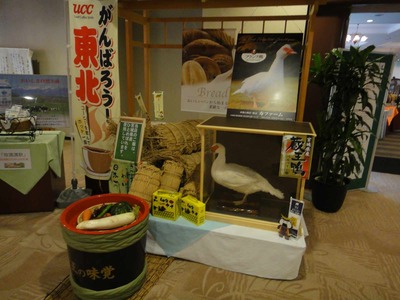 s-DSC06833