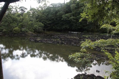 s-_MG_9396