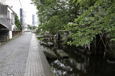 s-_MG_9084