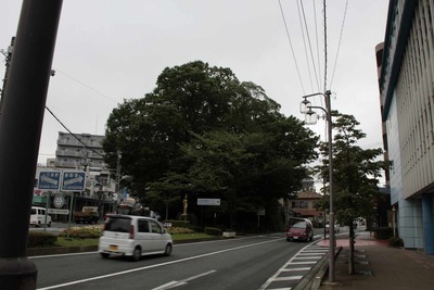 s-_MG_9107