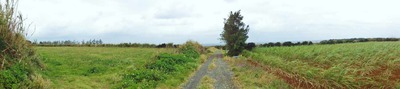 s-DSC00582
