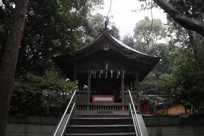 s-_MG_5526
