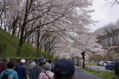s-_DSC2176