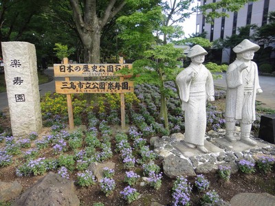 s-DSC01985