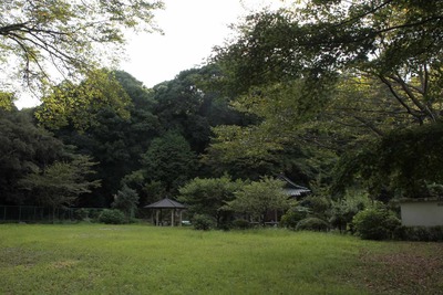s-_MG_1351