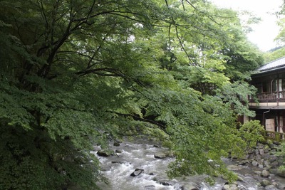 s-_MG_9193