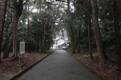 s-_MG_5542