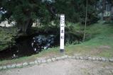 一本杉の湧水2
